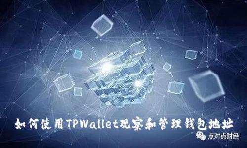 如何使用TPWallet观察和管理钱包地址