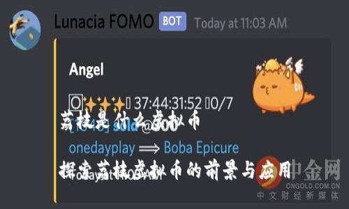 荔枝是什么虚拟币

探索荔枝虚拟币的前景与应用