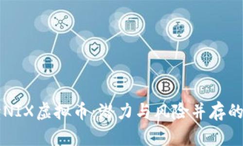 全面解读NIX虚拟币：潜力与风险并存的数字货币