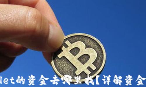 
转入TPWallet的资金去哪里找？详解资金流向与管理