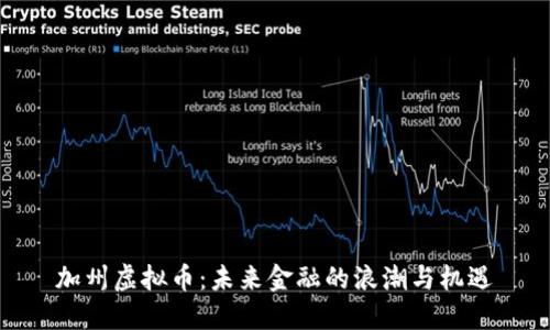加州虚拟币:未来金融的浪潮与机遇