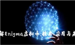 深入了解Enigma虚拟币：技