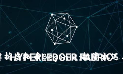 全面解析虚拟币Begonia：投资机遇与风险