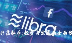 博兴虚拟币：投资与发展