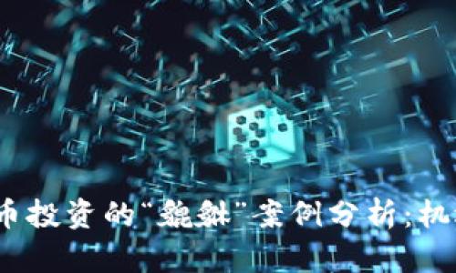 2023年虚拟币投资的“貔貅”案例分析：机遇与风险并存