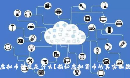 虚拟币到底是什么？揭秘虚拟货币的真实面貌