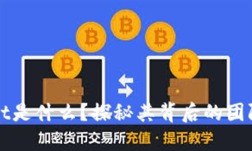 TPWallet是什么？探秘其背后的团队与技术
