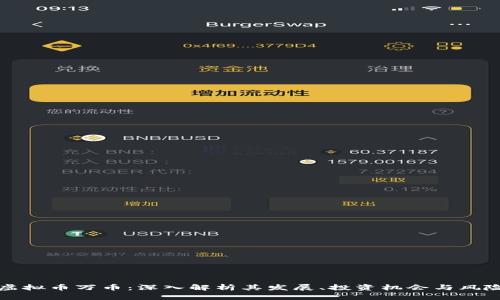 虚拟币万币：深入解析其发展、投资机会与风险