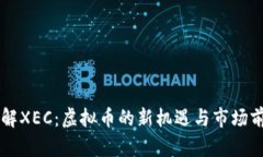 了解XEC：虚拟币的新机遇