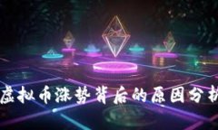 虚拟币涨势背后的原因分析