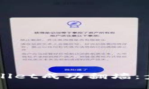 如何使用TPWallet成功翻墙：步骤和技巧指南