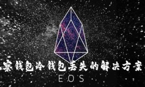 tpwallet观察钱包冷钱包丢失的解决方案与预防措施