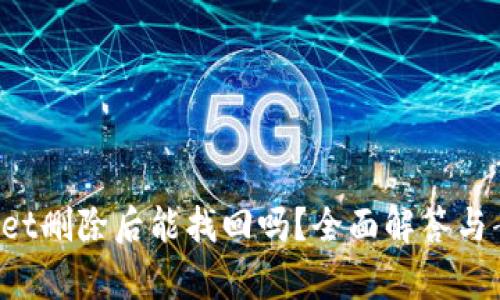  TPWallet删除后能找回吗？全面解答与案例分析