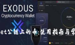 空投TPWallet公链上的币：使