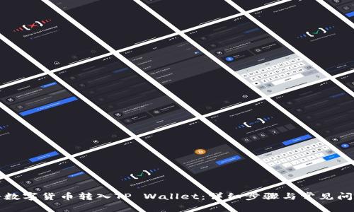 如何将数字货币转入TP Wallet：详细步骤与常见问题解答