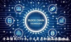   全面解析CVN币：什么是虚