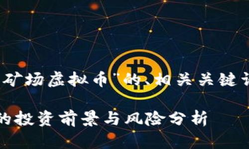 以下是关于“沙漠矿场虚拟币”的、相关关键词以及内容大纲： 

沙漠矿场虚拟币的投资前景与风险分析