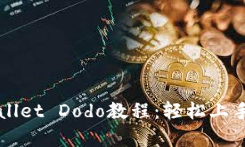 全面解析TPWallet Dodo教程：轻松上手数字资产管理