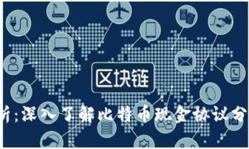 虚拟币BCHA解析：深入了解比特币现金协议分叉的影响与前景